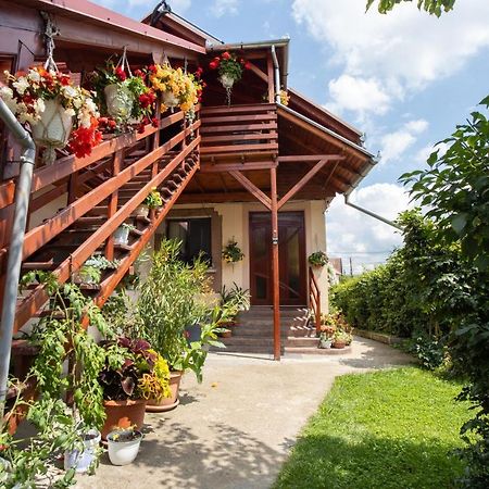 Pensiune Saroklak Sincraiu Exterior photo