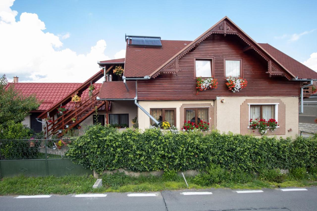 Pensiune Saroklak Sincraiu Exterior photo