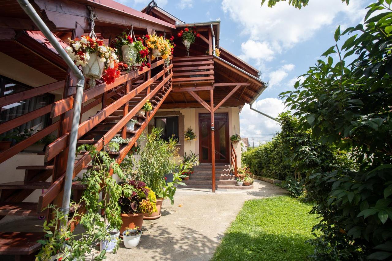 Pensiune Saroklak Sincraiu Exterior photo