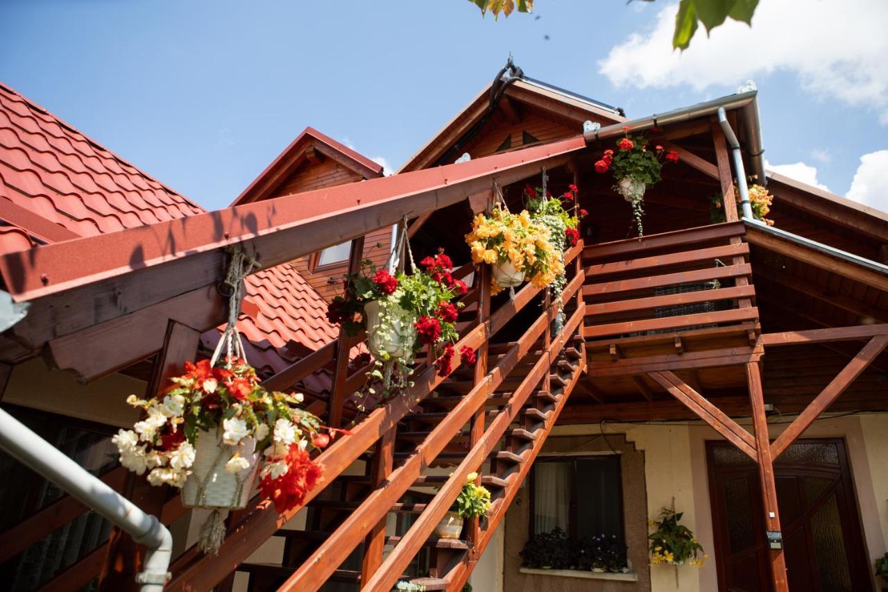Pensiune Saroklak Sincraiu Exterior photo